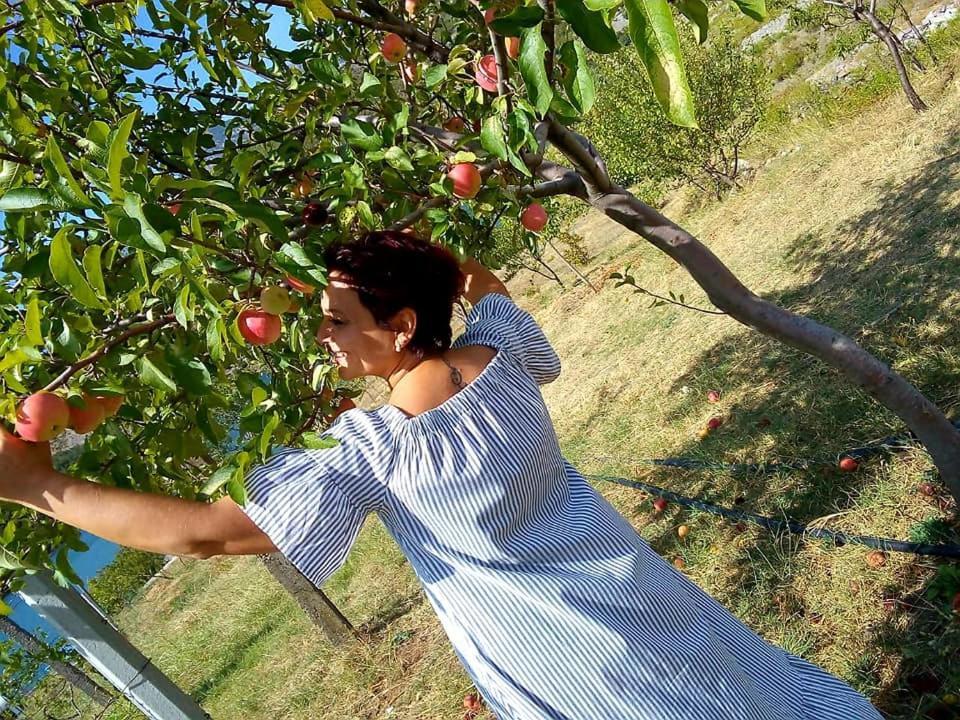Agroturizem Hotel Vila Franceze Koman Εξωτερικό φωτογραφία