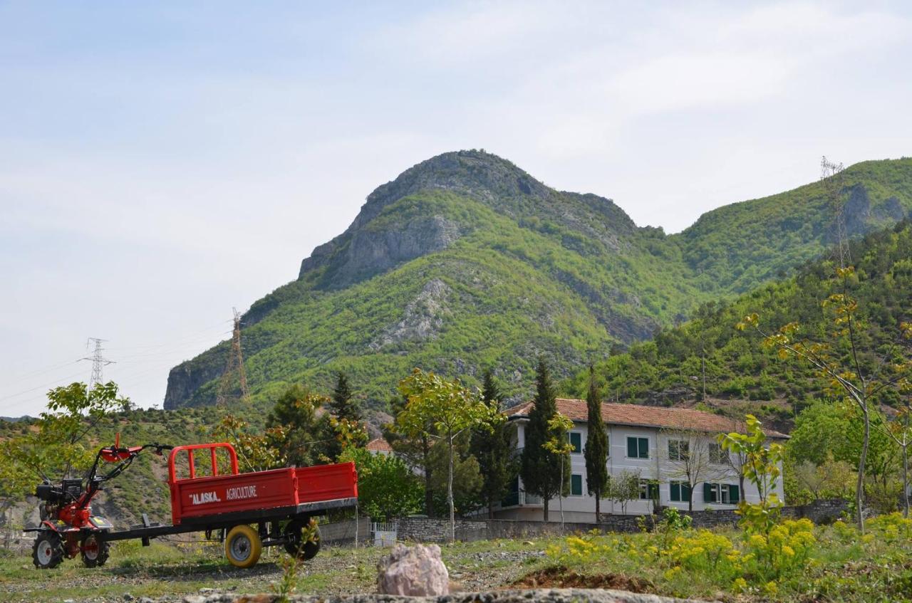Agroturizem Hotel Vila Franceze Koman Εξωτερικό φωτογραφία
