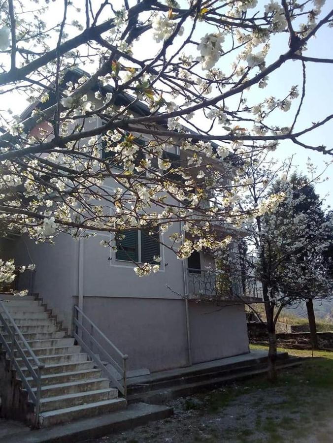 Agroturizem Hotel Vila Franceze Koman Εξωτερικό φωτογραφία