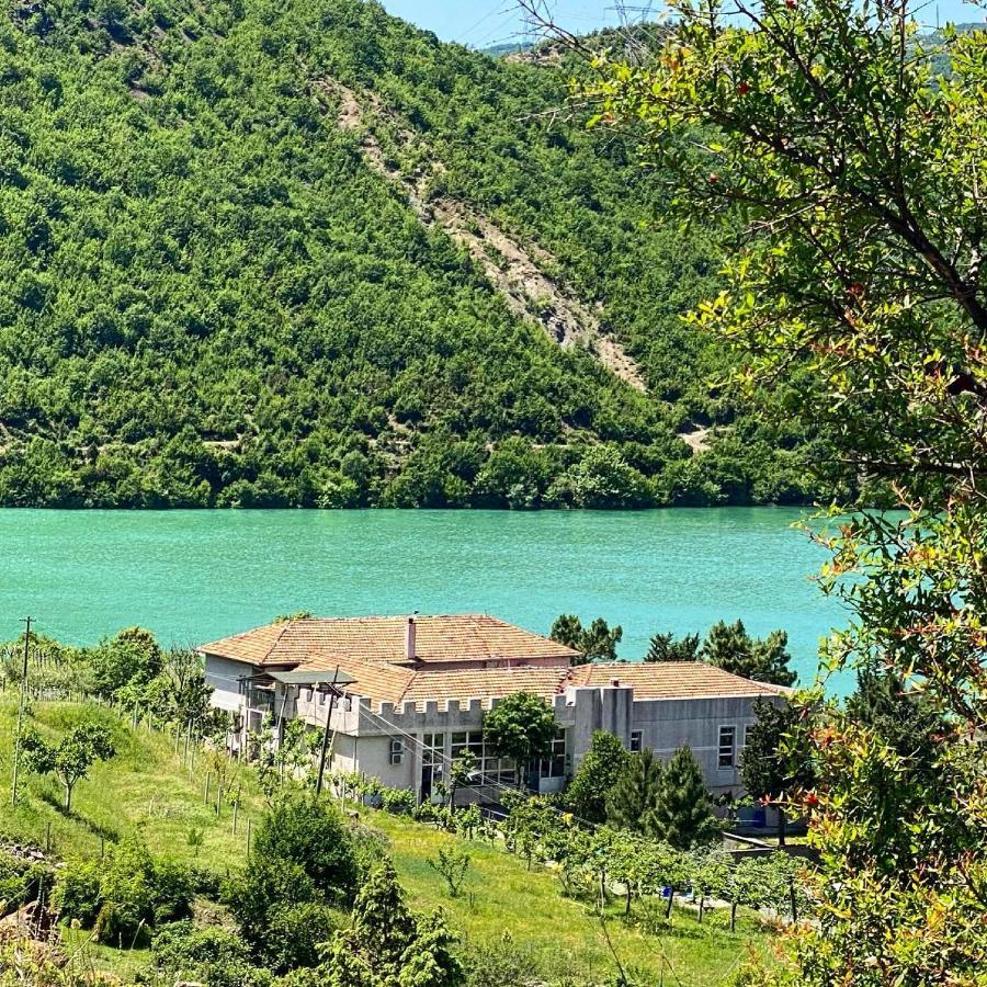 Agroturizem Hotel Vila Franceze Koman Εξωτερικό φωτογραφία